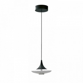 Подвесной светильник Favourite Wilet 4656-1P в Снежинске - snezhinsk.ok-mebel.com | фото 2