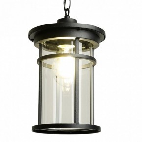 Подвесной светильник Feron PL765 51819 в Снежинске - snezhinsk.ok-mebel.com | фото 3