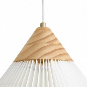 Подвесной светильник Freya Kinsley FR5533PL-01BS в Снежинске - snezhinsk.ok-mebel.com | фото 8