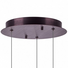 Подвесной светильник Lightstar Caramello 796139 в Снежинске - snezhinsk.ok-mebel.com | фото 13
