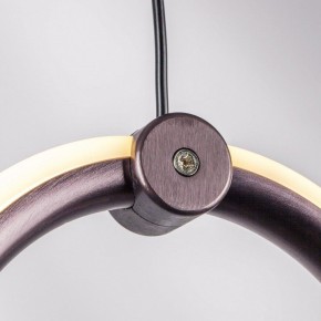 Подвесной светильник Lightstar Caramello 796169 в Снежинске - snezhinsk.ok-mebel.com | фото 10