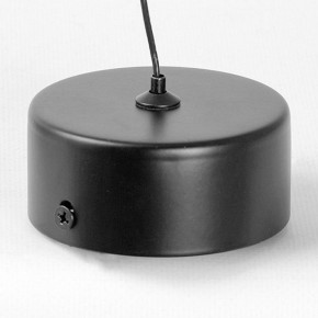 Подвесной светильник Lussole Blount LSP-7356 в Снежинске - snezhinsk.ok-mebel.com | фото 6
