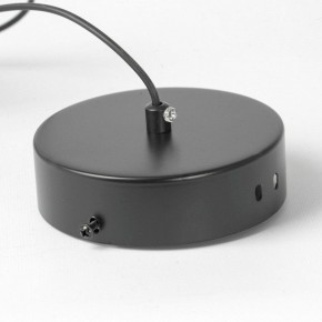 Подвесной светильник Lussole Bradford LSP-7154 в Снежинске - snezhinsk.ok-mebel.com | фото 6