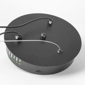 Подвесной светильник Lussole Bradford LSP-7160 в Снежинске - snezhinsk.ok-mebel.com | фото 7