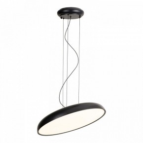 Подвесной светильник Lussole Crook LSP-7360 в Снежинске - snezhinsk.ok-mebel.com | фото 2