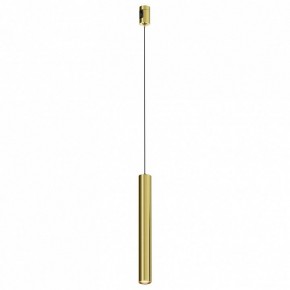 Подвесной светильник Maytoni Focus Led TR155-1-5W3K-BS в Снежинске - snezhinsk.ok-mebel.com | фото