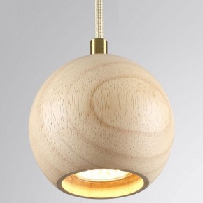 Подвесной светильник Odeon Light Caucho 7061/1 в Снежинске - snezhinsk.ok-mebel.com | фото 2
