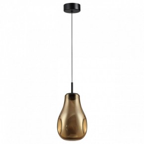 Подвесной светильник Odeon Light Nave 5098/4LA в Снежинске - snezhinsk.ok-mebel.com | фото 4
