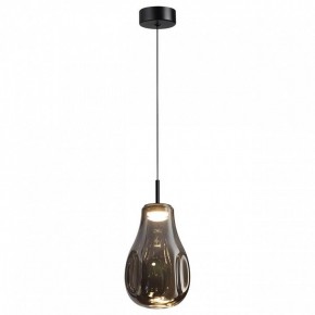 Подвесной светильник Odeon Light Nave 5098/4LC в Снежинске - snezhinsk.ok-mebel.com | фото 2