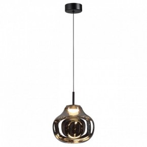 Подвесной светильник Odeon Light Vaso 5097/4LC в Снежинске - snezhinsk.ok-mebel.com | фото 2