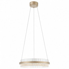 Подвесной светильник ST-Luce Cherio SL383.203.01 в Снежинске - snezhinsk.ok-mebel.com | фото 3