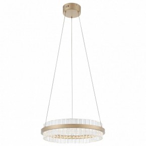 Подвесной светильник ST-Luce Cherio SL383.203.01 в Снежинске - snezhinsk.ok-mebel.com | фото 4