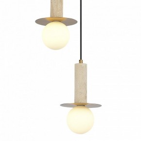 Подвесной светильник ST-Luce Earthy SL1194.303.03 в Снежинске - snezhinsk.ok-mebel.com | фото 4