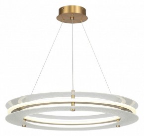 Подвесной светильник ST-Luce FAGY SL6245.203.01 в Снежинске - snezhinsk.ok-mebel.com | фото 2