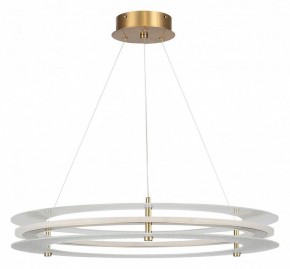 Подвесной светильник ST-Luce FAGY SL6245.203.01 в Снежинске - snezhinsk.ok-mebel.com | фото 3