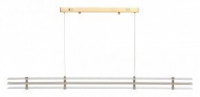 Подвесной светильник ST-Luce FAGY SL6245.223.01 в Снежинске - snezhinsk.ok-mebel.com | фото 3