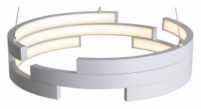 Подвесной светильник ST-Luce Genuine SL963.503.01 в Снежинске - snezhinsk.ok-mebel.com | фото