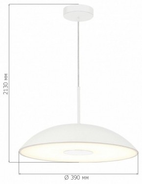 Подвесной светильник ST-Luce Lido SL6128.503.01 в Снежинске - snezhinsk.ok-mebel.com | фото 4