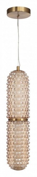 Подвесной светильник ST-Luce SAGUARO SL6144.303.01 в Снежинске - snezhinsk.ok-mebel.com | фото 3