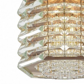 Подвесной светильник ST-Luce STROZZI SL6137.203.08 в Снежинске - snezhinsk.ok-mebel.com | фото 6