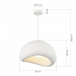 Подвесной светильник ST-Luce WABI SABI SL1522.513.01 в Снежинске - snezhinsk.ok-mebel.com | фото 5
