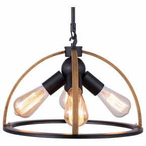 Подвесной светильник TopLight Jasmin TL1179H-04BK в Снежинске - snezhinsk.ok-mebel.com | фото