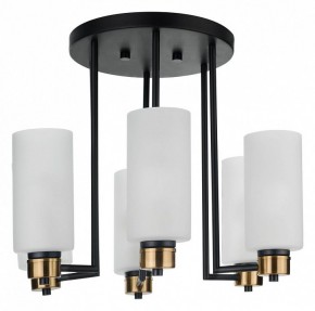 Потолочная люстра 33 идеи CHN900 CHN900.06.BL17.ASB-S16WH в Снежинске - snezhinsk.ok-mebel.com | фото 3