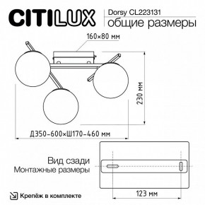 Потолочная люстра Citilux Dorsy CL223131 в Снежинске - snezhinsk.ok-mebel.com | фото 11