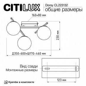 Потолочная люстра Citilux Dorsy CL223132 в Снежинске - snezhinsk.ok-mebel.com | фото 12