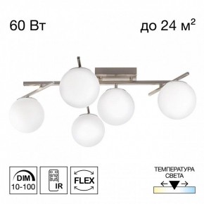 Потолочная люстра Citilux Dorsy CL223151 в Снежинске - snezhinsk.ok-mebel.com | фото 2