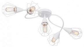 Потолочная люстра Vitaluce V3037 V3037-0/5PL в Снежинске - snezhinsk.ok-mebel.com | фото