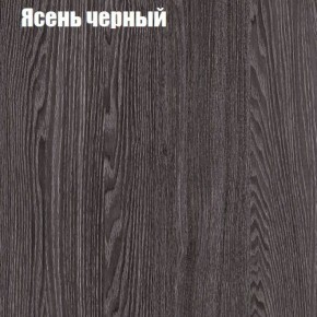 Прихожая ДИАНА-4 сек №29 (Ясень анкор/Дуб эльза) в Снежинске - snezhinsk.ok-mebel.com | фото 3