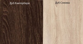 Прихожая-купе Смарт 3 (1000) в Снежинске - snezhinsk.ok-mebel.com | фото 5