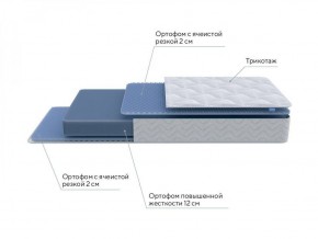 PROxSON Матрас Active Flex M (Ткань Трикотаж Эко) 80x195 в Снежинске - snezhinsk.ok-mebel.com | фото 7