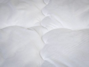 PROxSON Одеяло классическое PROSON (Стеганное полотно) 172x200 в Снежинске - snezhinsk.ok-mebel.com | фото 4