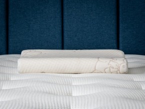 PROxSON Подушка Кроха (Ткань Трикотаж) 39x24 в Снежинске - snezhinsk.ok-mebel.com | фото 6