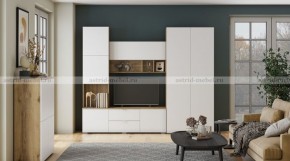МИЛАН-1 Секция ТВ (ЦРК.МЛН.01 секция ТВ) в Снежинске - snezhinsk.ok-mebel.com | фото 3