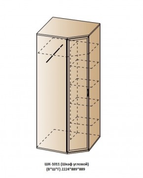 ШК-1011 (Шкаф угловой) в Снежинске - snezhinsk.ok-mebel.com | фото