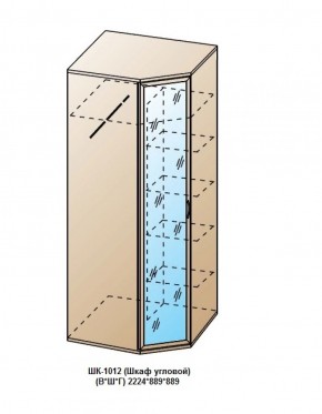 ШК-1012 (Шкаф угловой) в Снежинске - snezhinsk.ok-mebel.com | фото