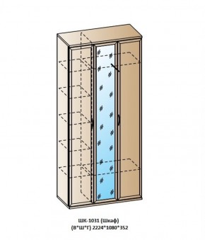 ШК-1031 (Шкаф) в Снежинске - snezhinsk.ok-mebel.com | фото