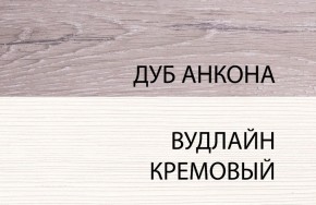 Шкаф 1DZ, OLIVIA, цвет вудлайн крем/дуб анкона в Снежинске - snezhinsk.ok-mebel.com | фото 3