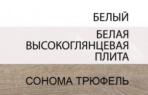 Шкаф 2D/TYP 20A, LINATE ,цвет белый/сонома трюфель в Снежинске - snezhinsk.ok-mebel.com | фото 4