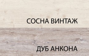 Шкаф 2D1S, MONAKO, цвет Сосна винтаж/дуб анкона в Снежинске - snezhinsk.ok-mebel.com | фото