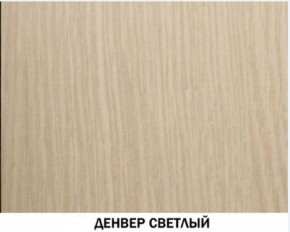 Шкаф для одежды №609 "Инна" Денвер светлый (*без полок) в Снежинске - snezhinsk.ok-mebel.com | фото 4