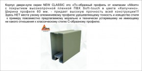 Шкаф-купе 1500 серии NEW CLASSIC K3+K3+B2+PL1 (2 ящика+1 штанга) профиль «Капучино» в Снежинске - snezhinsk.ok-mebel.com | фото 17