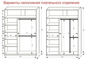 Шкаф-купе 1600 серии SOFT D6+D4+B2+PL2 (2 ящика+1штанга+1 полка) профиль «Капучино» в Снежинске - snezhinsk.ok-mebel.com | фото 9