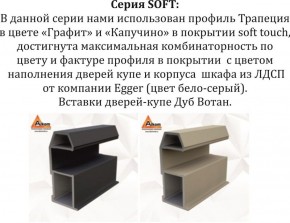 Шкаф-купе 1800 серии SOFT D1+D3+B2+PL1 (2 ящика+1штанга) профиль «Графит» в Снежинске - snezhinsk.ok-mebel.com | фото 11