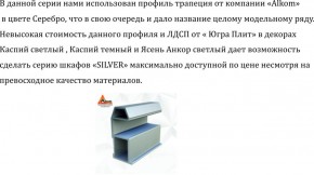 Шкаф-купе 2250 серии SILVER S3+S1+S3Z B22+PL2 (по 2 ящика лев/прав+1штанга+1 полка) профиль «Серебро» в Снежинске - snezhinsk.ok-mebel.com | фото 4