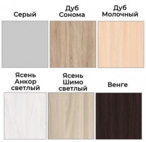 Шкаф-купе ХИТ 22-4-12/2-77 (420) в Снежинске - snezhinsk.ok-mebel.com | фото 3