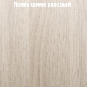 Шкаф-купе «ТАНДЕМ» 2-х дверный в алюминиевом профиле (Дверь К+К) 1200/h2200 в Снежинске - snezhinsk.ok-mebel.com | фото 6